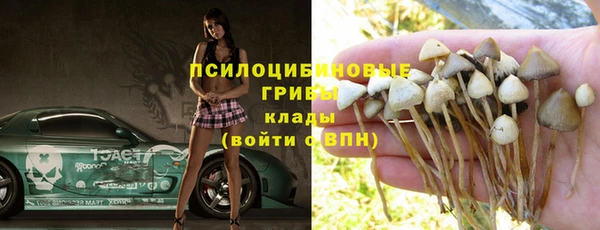 mdma Медвежьегорск