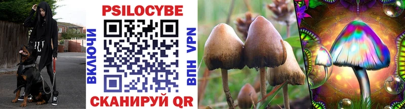 хочу наркоту Ивангород Галлюциногенные грибы мухоморы